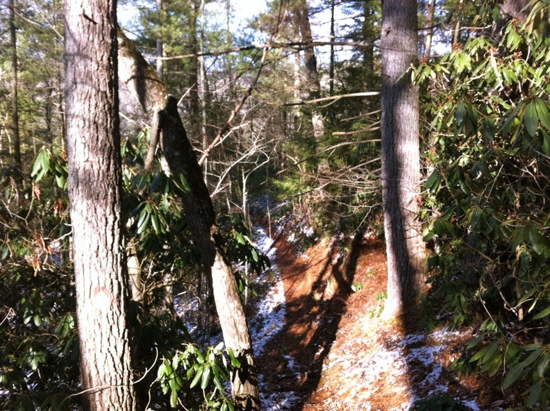 Ice on the Sheltowee Trace - 2.jpg